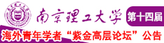 嗯啊出水嗯啊南京理工大学第十四届海外青年学者紫金论坛诚邀海内外英才！